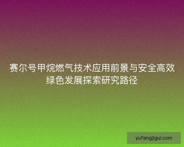 赛尔号甲烷燃气技术应用前景与安全高效绿色发展探索研究路径